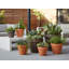 Grand pot Deroma standard - naturel (l 21 po x H 15 po) terre cuite - intérieur extérieur