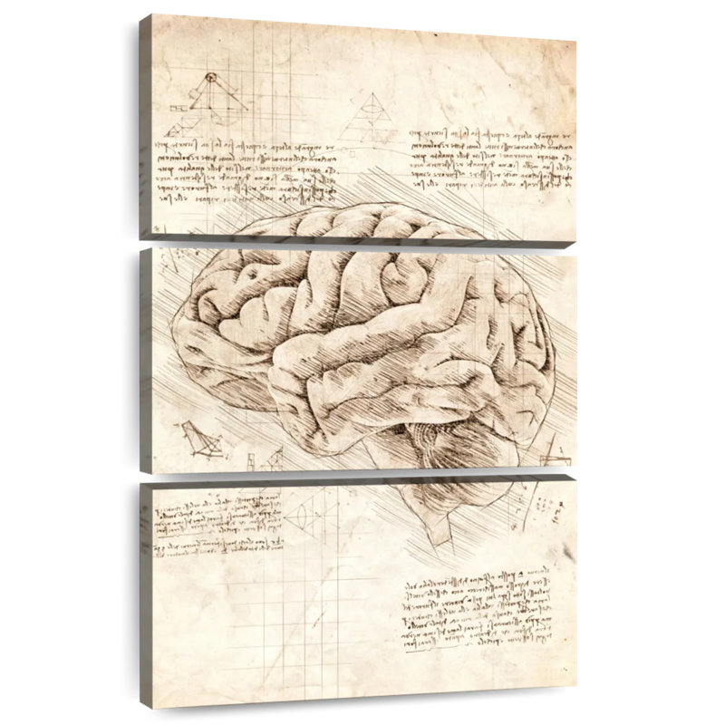 Keiri Human Brain, 50" H x 32" W