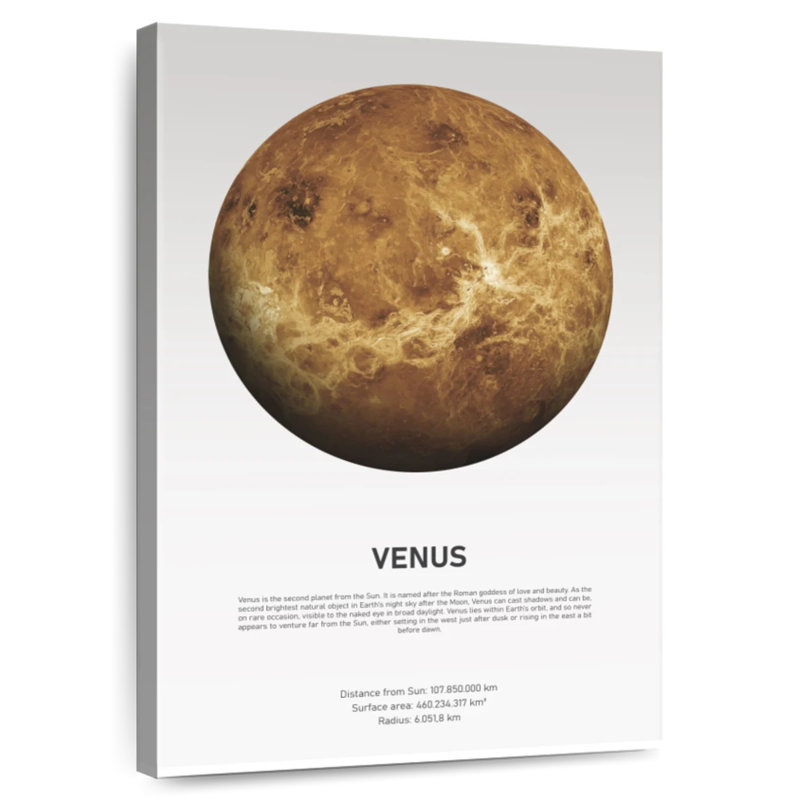Oberle Venus Light, 45" H x 30" W