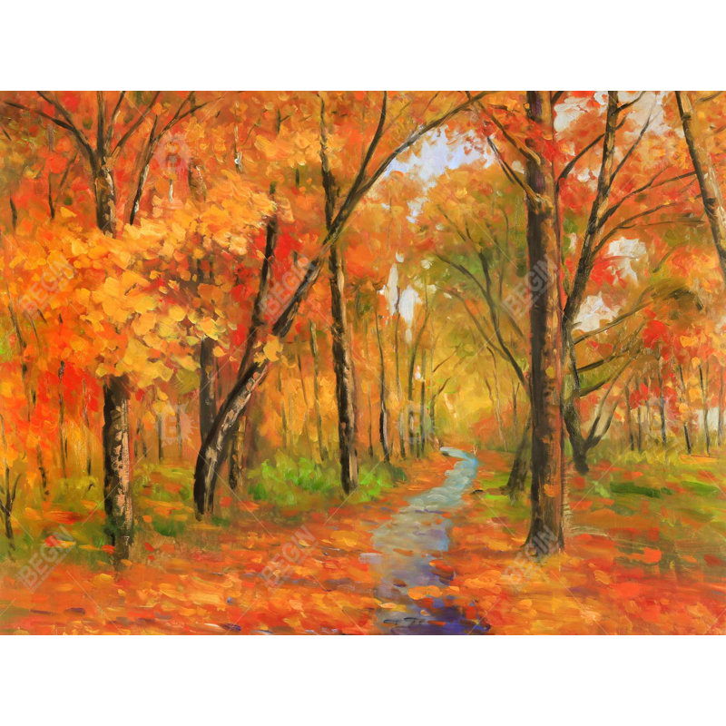 Sentier d'automne dans la forêt