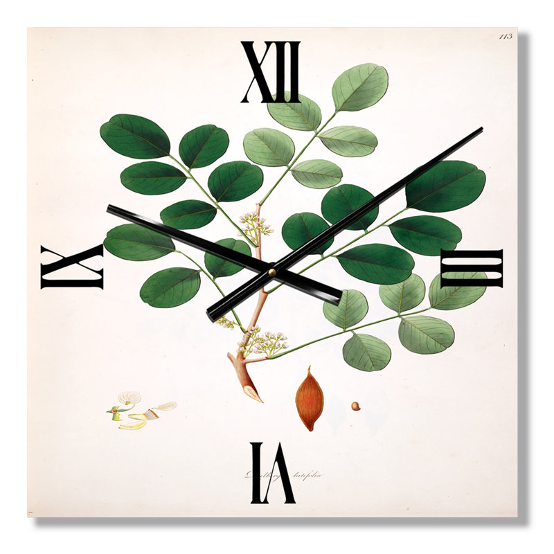 Horloge murale Plant Life, Très grand