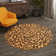 Testerman Animal Print Indoor Rug