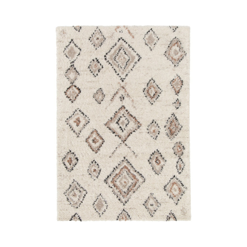 Takehito Oriental Area Rug, Rectangle 120 x 170cm