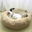 Almaguer Calming Round Donut Plush Dog Cuddler Bed-695170518-691327568