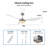 Geradette 56'' Ceiling Fan with LED Lights