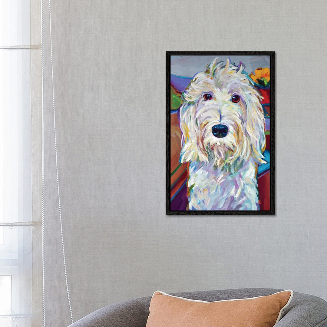 Willy The Schnoodle von Robert Phelps - Gallery-Wrapped Canvas Giclée on Canvas