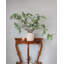Faux Branch