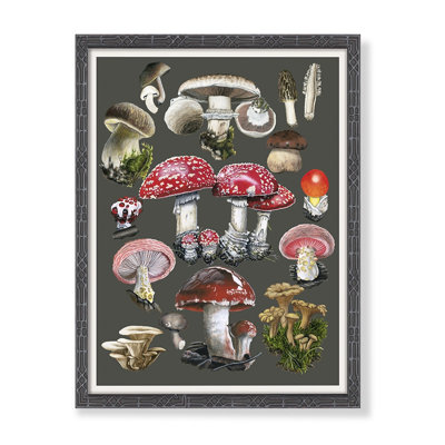 Mushroom Chart Print by Thicket Design