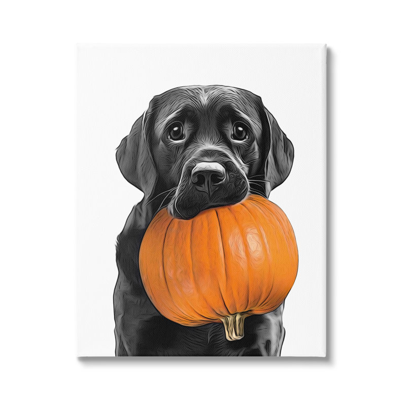 Lab Lab avec citrouille sur toile, H 40 po x l 30 po x P 1,5 po