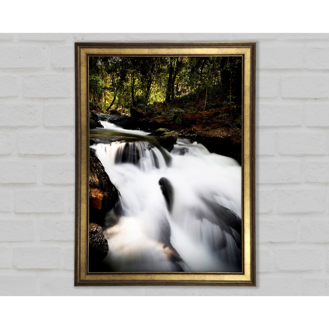 The Woodland Waterfall Gerahmter Druck