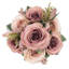 Doux rosier-1900355710