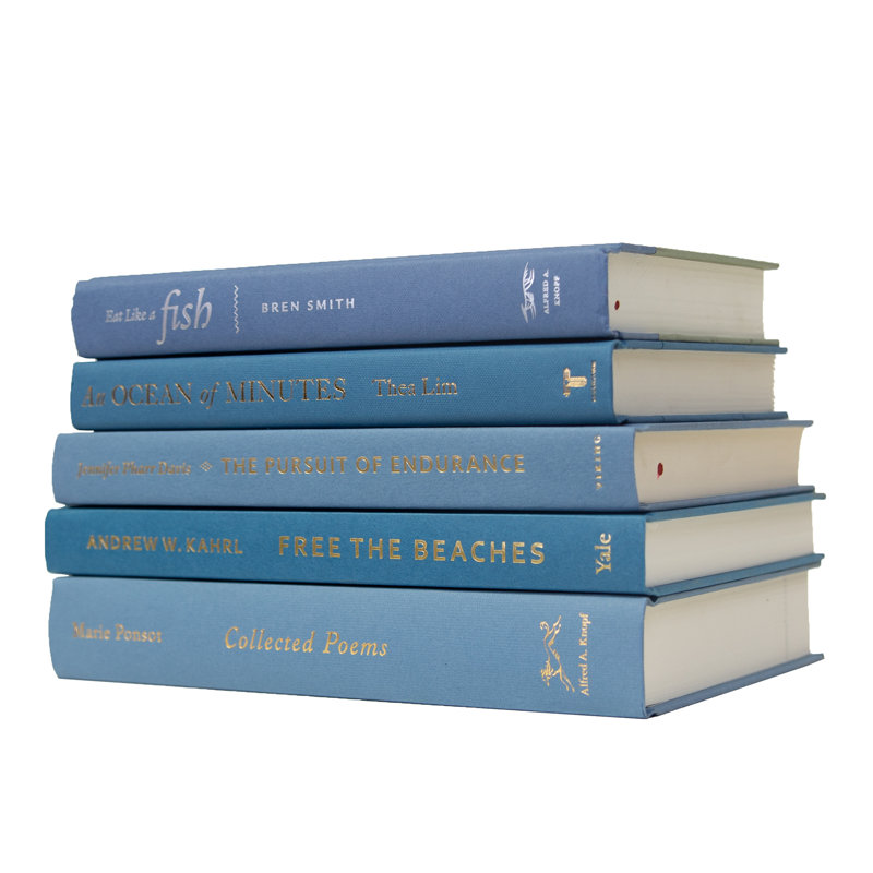 Livres décoratifs - Bibliothèque Marlin - 5 livres bleus