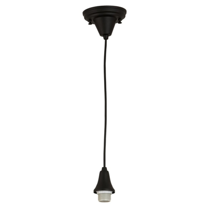 Luminaire suspendu noir thermolaqué 1 lumière Danaleigh