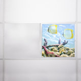 Ocean Square Fixture Component Ceiling Light