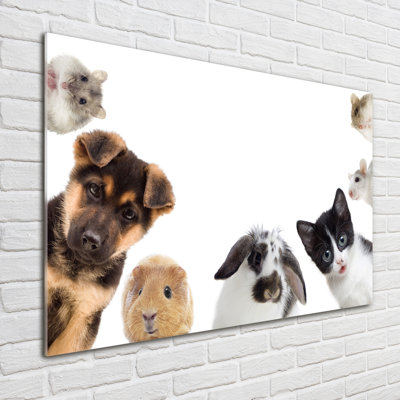 Pets - No Frame Print on Glass