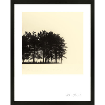 Garden Sign "Copse" Print by Peter Dušek