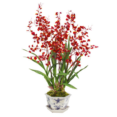 Oncidium Orchid In Cache Rose Trellis Pot
