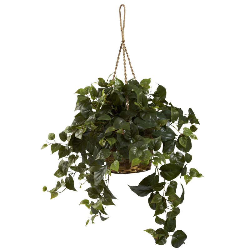 Plante artificielle en panier 18 po Redford