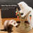 Cat Rattan Grass Scratcher Climbing Tree