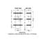 Marvi 3 Piece Tiered Shelf-622383041
