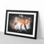 Red Fox In The Winter - Picture Frame Graphic Art-56876348-56876342