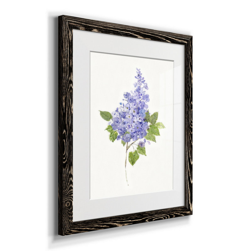 Lilas botanique délicat - impression, H 24 po x l 18 po x P 1,5 po, Noir
