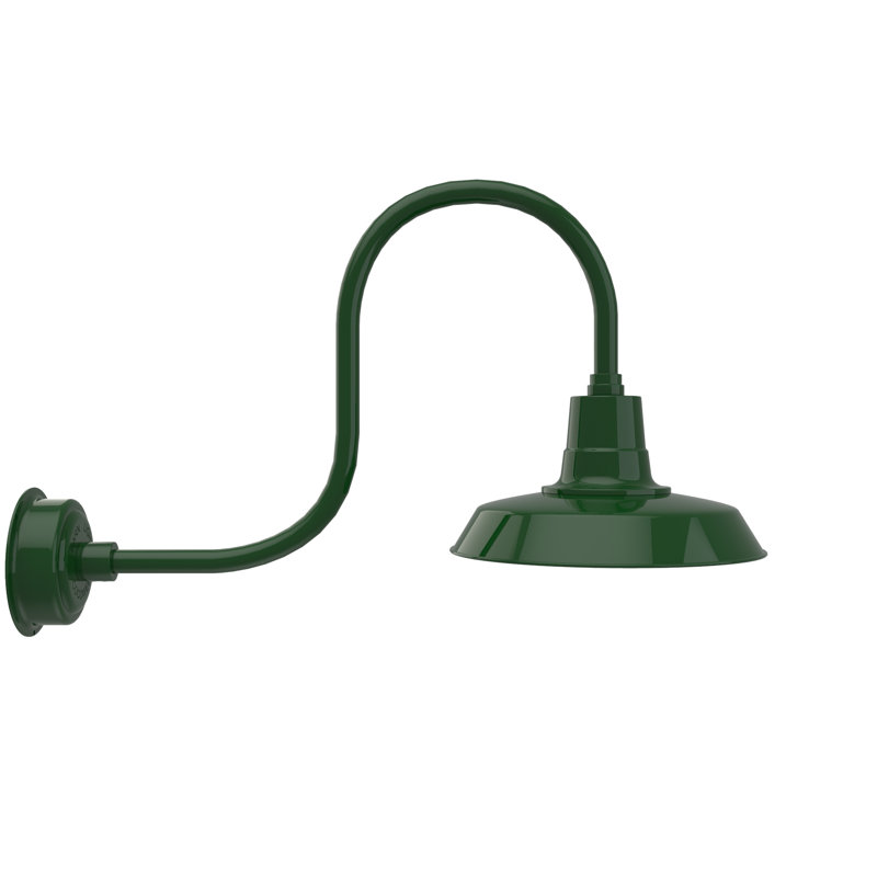 Luminaire de grange d'extérieur à DEL Haleigh, H 9 po x l 14 po x P 17 po, Vert rétro