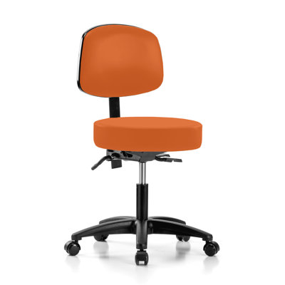 Channahon Backed Adjustable Backrest Adjustable Height Ergonomic Lab Stool with Removable Casters/Wheels