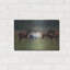 «Southern Horses» par Valtcho Tonov-1828576023