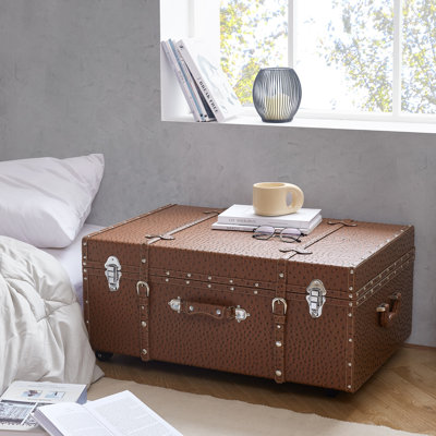 Texture Brand Trunk - Vibrant Aqua Ostrich