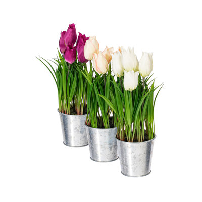 Arrangement floral de tulipes en pot