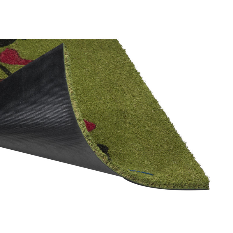 Oiseaux colorés de 30 po x 18 po tapis de porte extérieur antidérapant Cantara