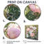 Grandes pivoines dans le jardin de fleurs I - pivoines-1723285805-1723285794-1723285800