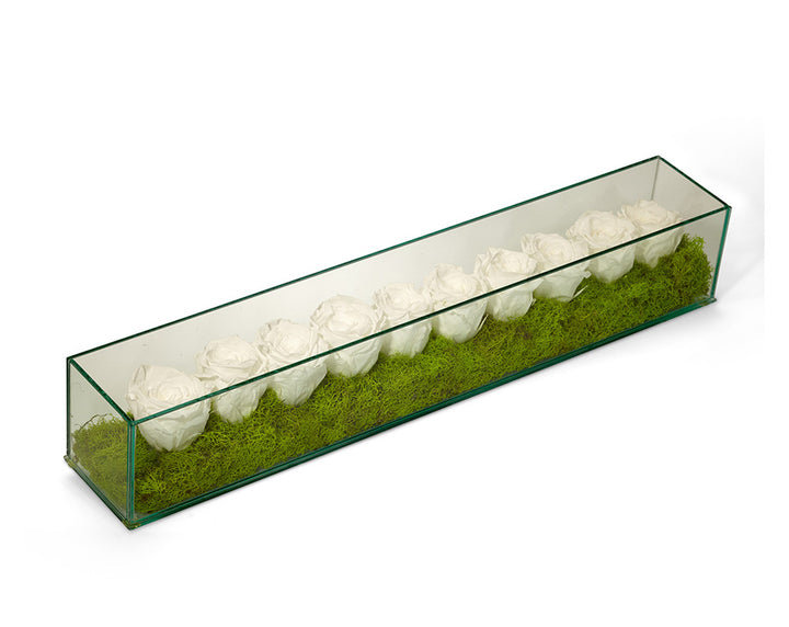 Flowering in Planter, White