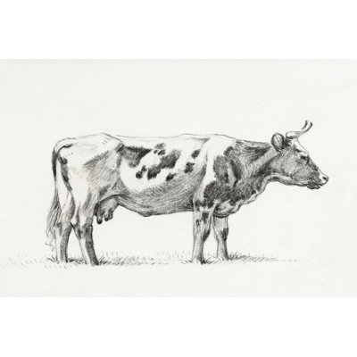 Audsley Bernard Cow Sketch III by Jean Bernard