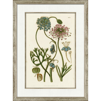 Médium antique rosé floral IV - Peinture encadrée sur papier