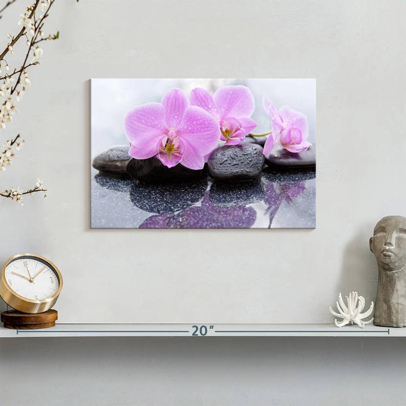 Orchidées Harnek Dewy Zen, H 8 po x l 12 po