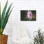 «Beautiful Flora» par Gordon Semmens-1049243982