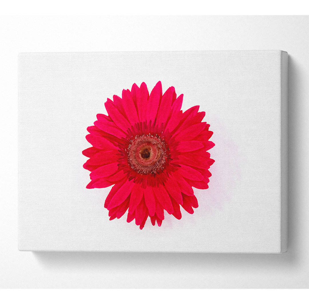 Cerise Gerbera - Kunstdrucke auf Leinwand - Wrapped Canvas