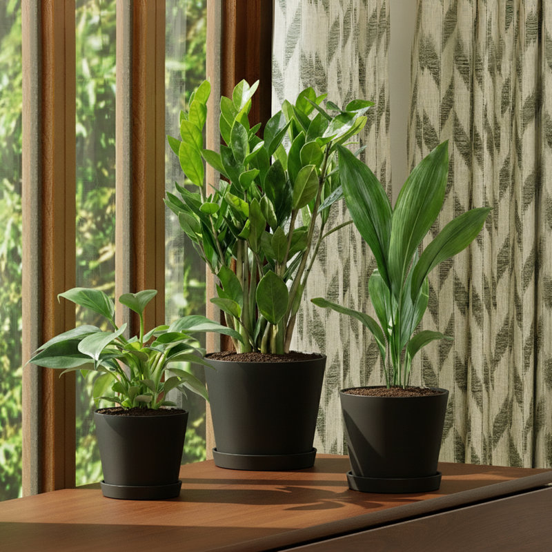 3 Pack Black Plastic Plant Pots, 5mm Thick Indoor Outdoor Planters with Drainage Holes, 5.9/6.6/7.8 Inch Flower Garden Pots for Patio & Home Decor
