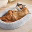 Pet Bed-1783597469-1783597466