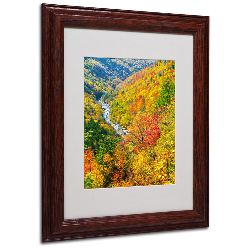 « valley » par cateyes mat, reproduction de photo encadrée, H 14 po x l 11 po x P 0,5 po, Brun