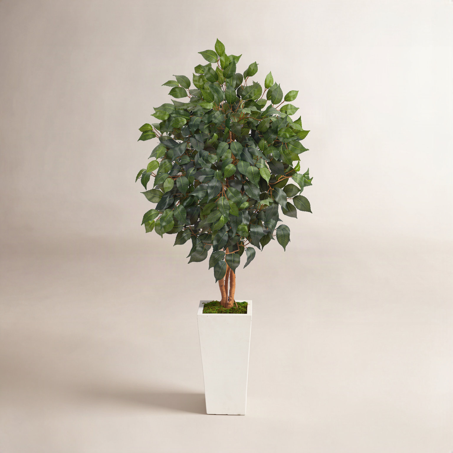 Faux Ficus Tree in Clay Planter, White, 48" H x 28" W x 26" D