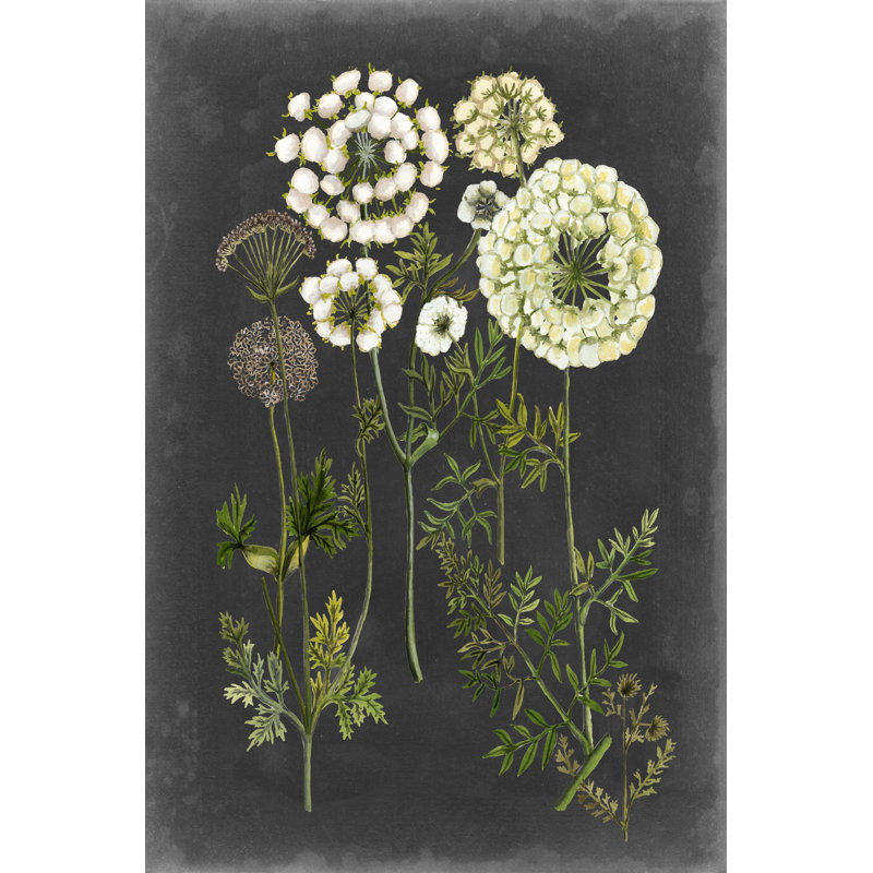 Bookplate Floral II by Naomi McCavitt - Painting on Canvas, 76cm H x 51cm W, Wrapped Canvas