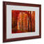 « the red way » par philippe sainte-laudy,, reproduction de photo encadrée-10593248-10593249