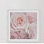 Sylvia Cook - Single Picture Frame Print-352761896
