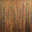 Crimson Thicket