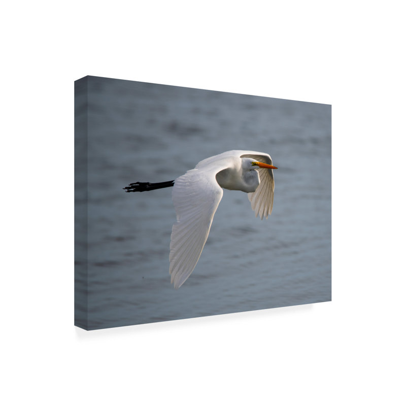 Art sur toile Robert Michaud «Egret 2», H 14 po x l 19 po x P 2 po