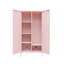 Nikeria 2 Door Steel Wardrobe-801512831