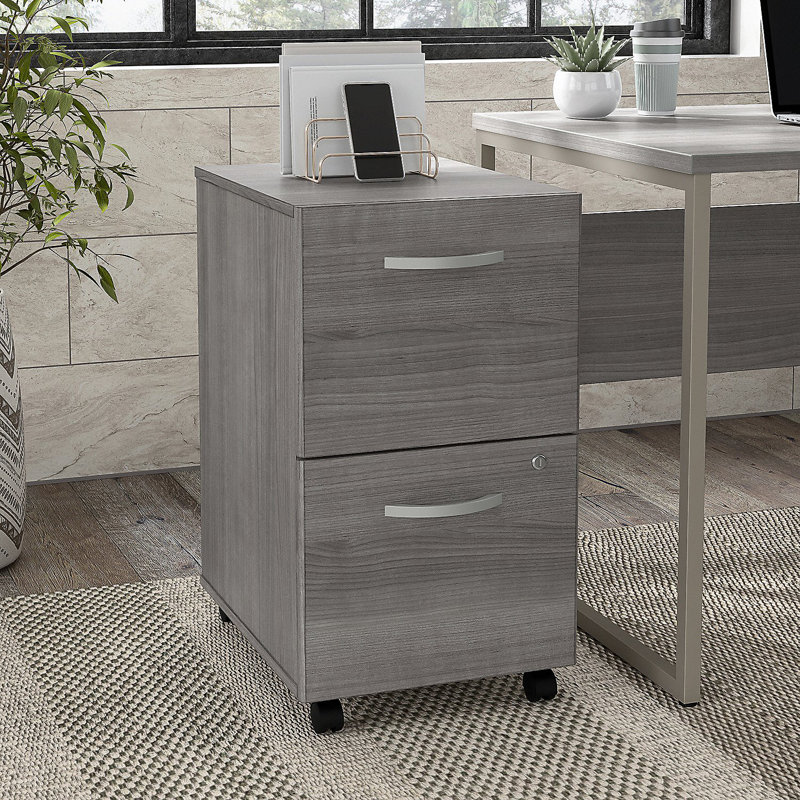 Kaneki 16'' Wide 2 -Drawer Mobile File Cabinet, Platinum Gray
